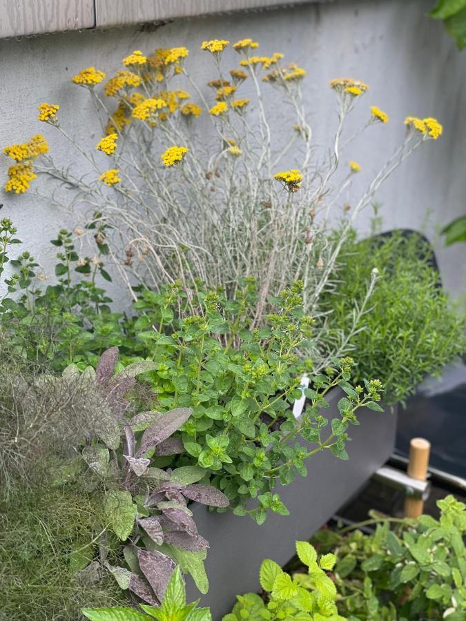 Feldberg Atelier - Courtyard Maisonette Apartment